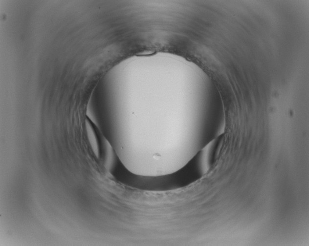 X0000088570037200706081109