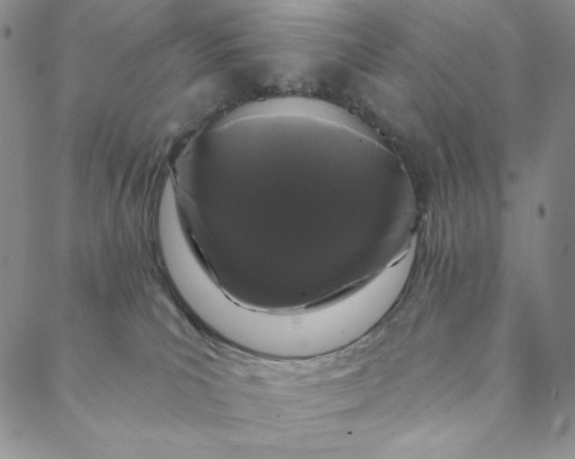X0000088570039200706081109