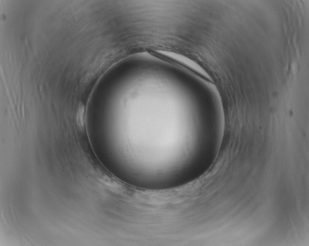 X0000088570041200706081109