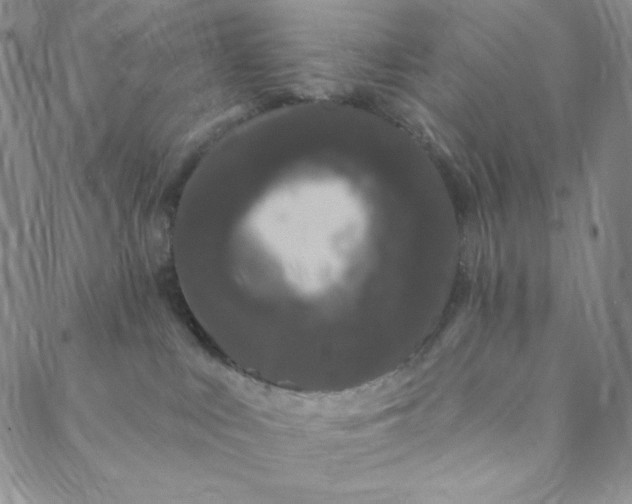 X0000088570043200706081109