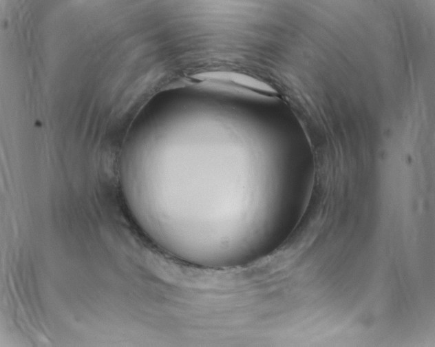 X0000088570044200706081109