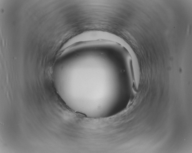 X0000088570045200706081109