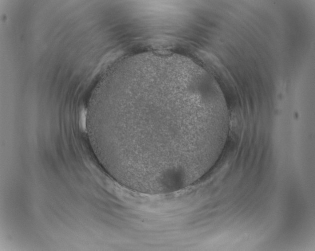 X0000088570046200706081109