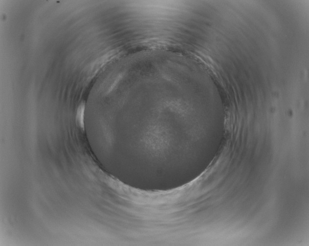 X0000088570047200706081109