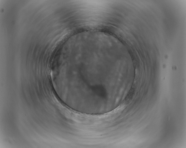 X0000088570048200706081109