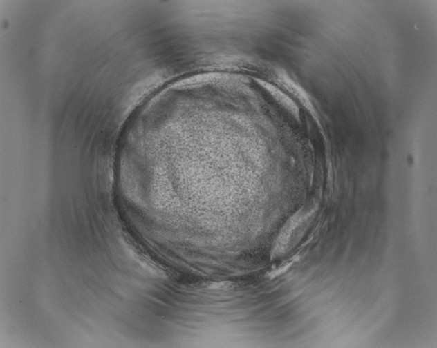 X0000088570059200706081108