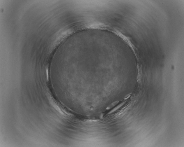 X0000088570061200706081108