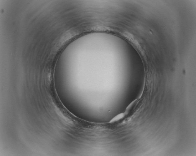 X0000088570063200706081108