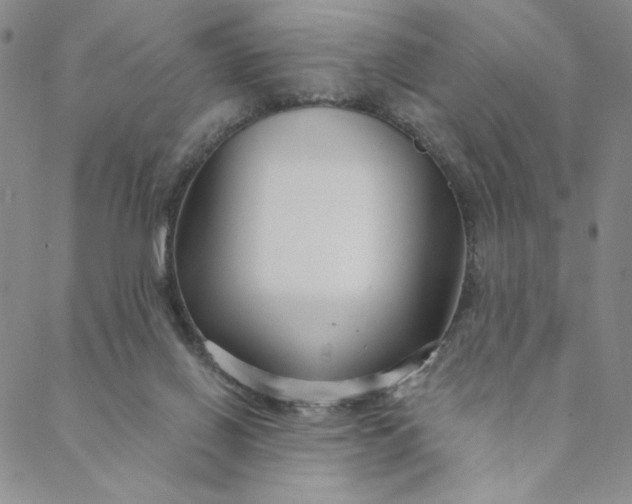 X0000088570070200706081108