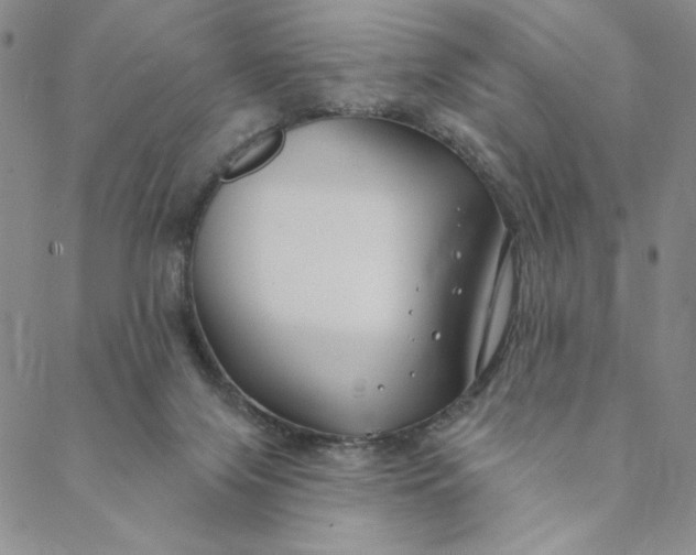 X0000088570071200706081108