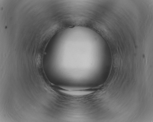 X0000088570077200706081108