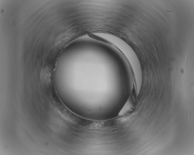 X0000088570080200706081108