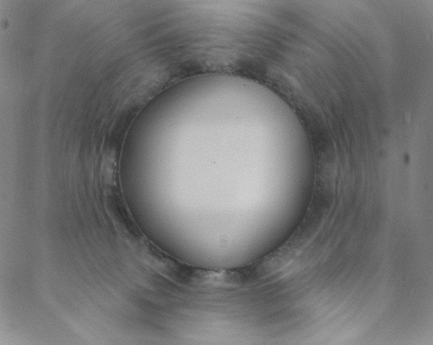 X0000088570083200706081108