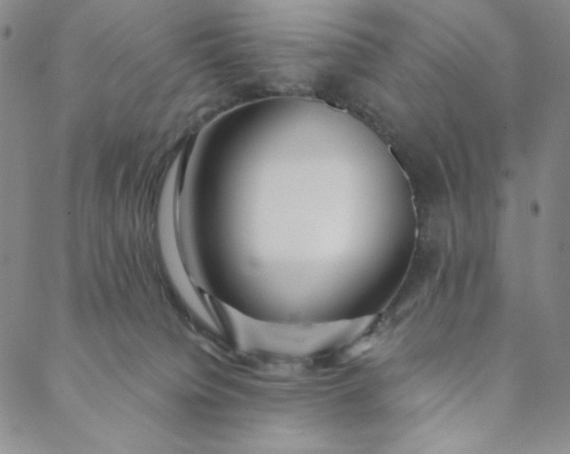 X0000088570084200706081108