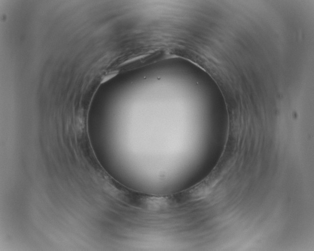 X0000088570085200706081108