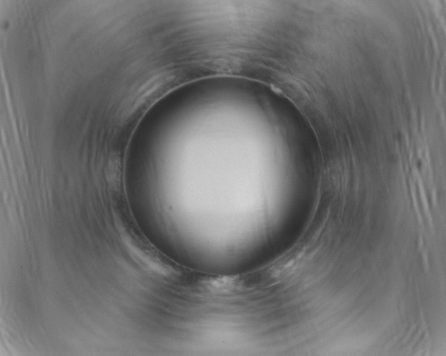 X0000088570092200706081108