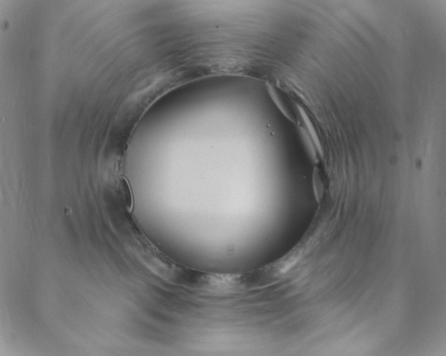 X0000088570093200706081109