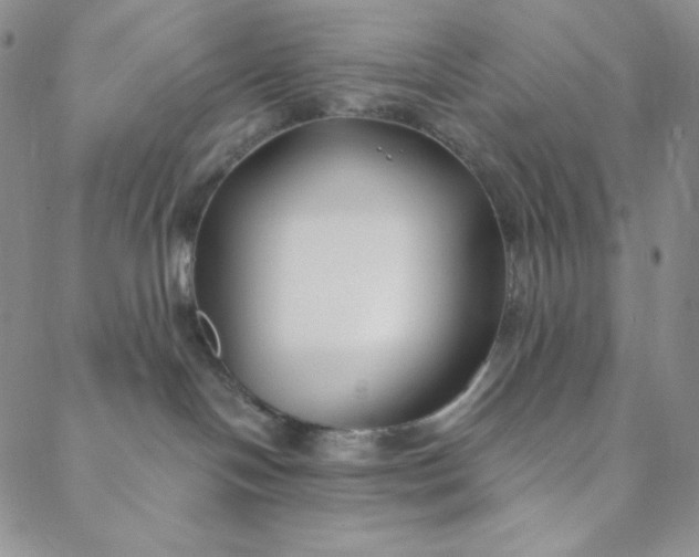 X0000088570094200706081109