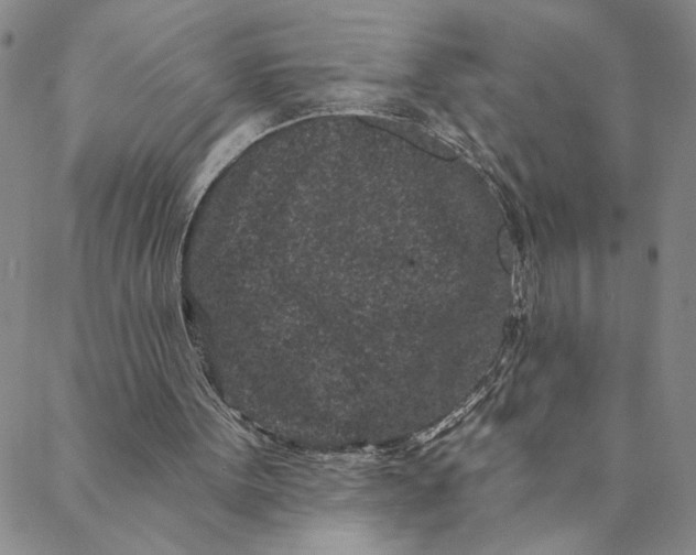 X0000088570099200706081108