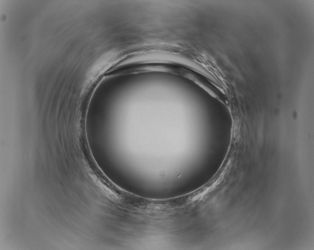 X0000088570101200706081108