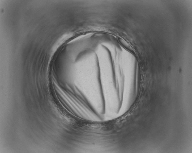 X0000088570104200706081108