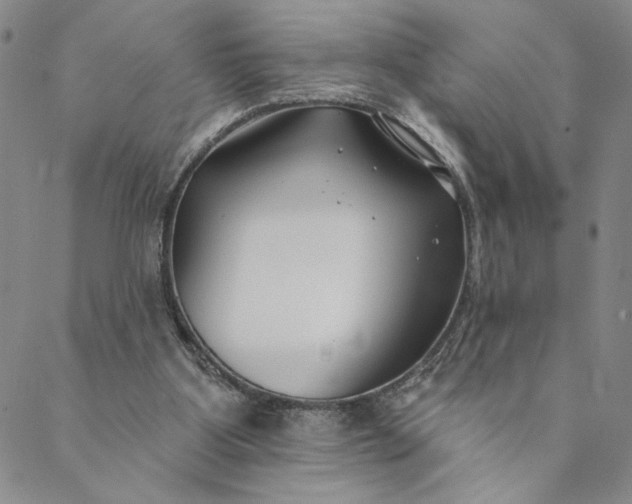 X0000088570107200706081108