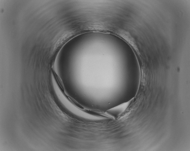 X0000088570109200706081108