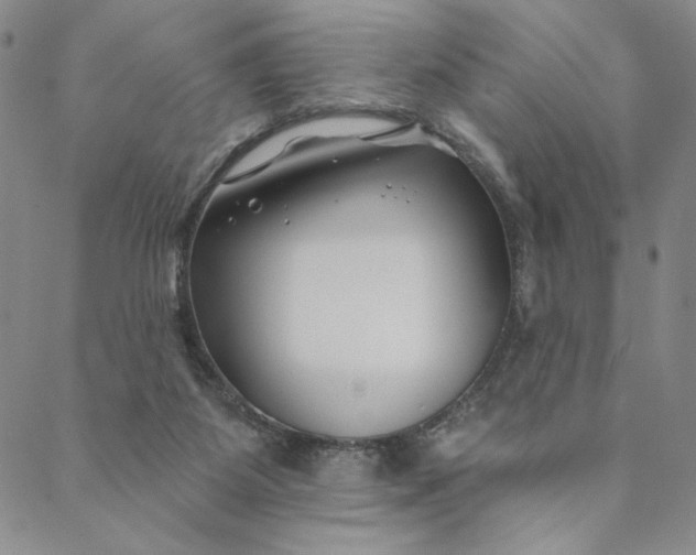 X0000088570115200706081107