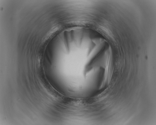 X0000088570120200706081107