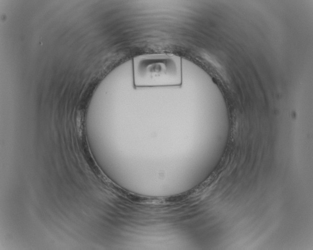 X0000088570121200706081107