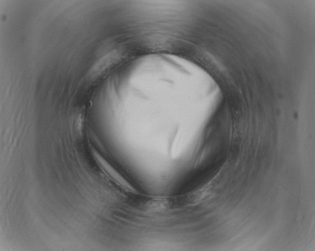 X0000088570124200706081107