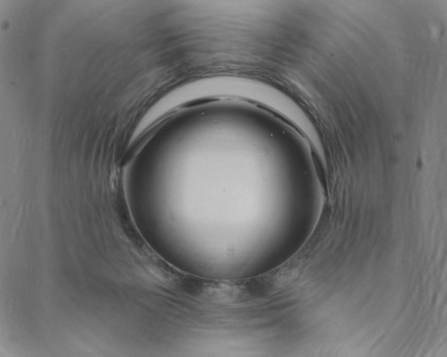 X0000088570125200706081107