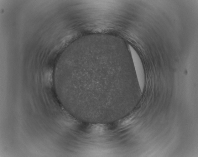 X0000088570127200706081107