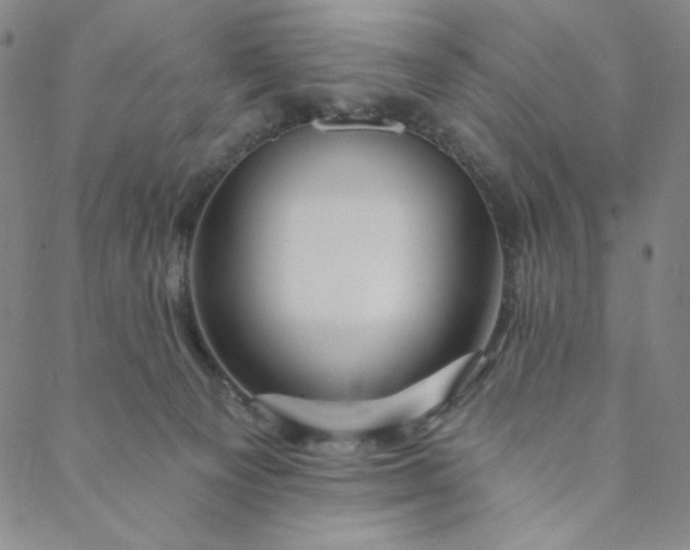 X0000088570129200706081107