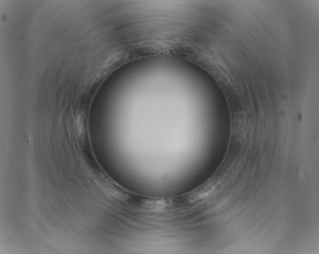 X0000088570131200706081107