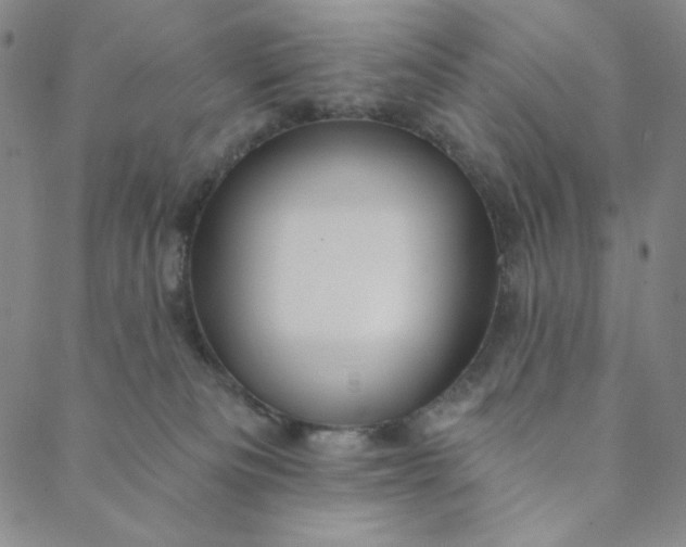 X0000088570133200706081107