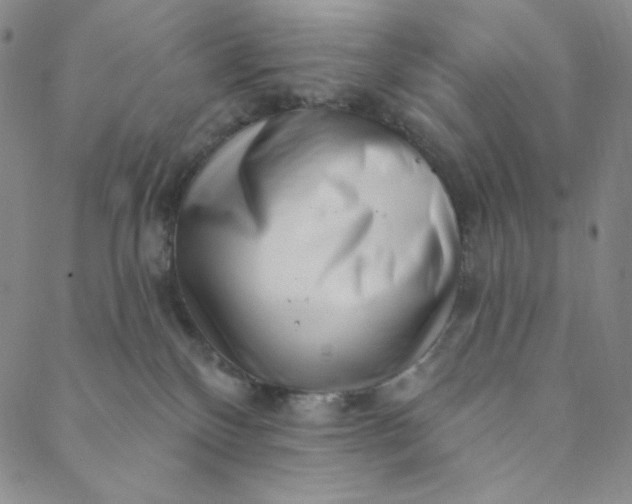 X0000088570136200706081107
