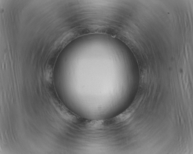 X0000088570138200706081107