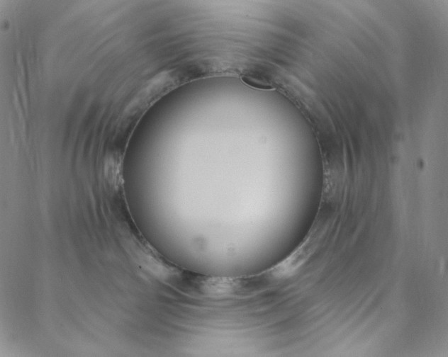 X0000088570142200706081107