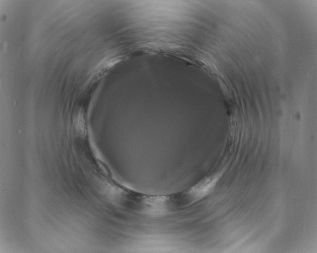 X0000088570143200706081107