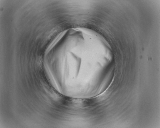 X0000088570144200706081107