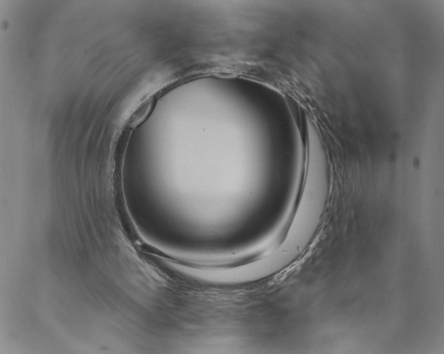 X0000088570150200706081106