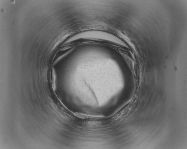 X0000088570154200706081106