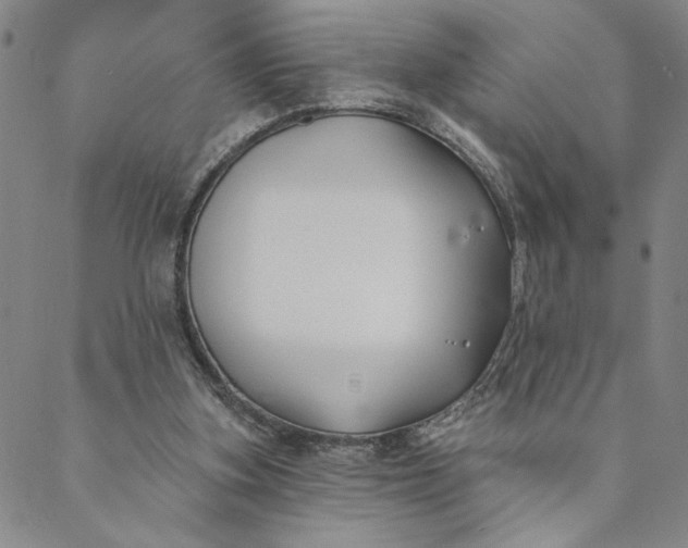 X0000088570155200706081106