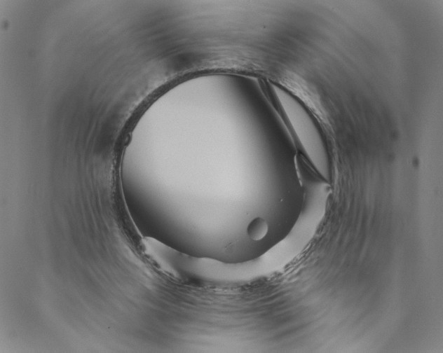X0000088570156200706081106