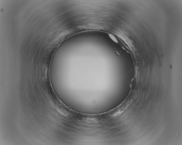 X0000088570157200706081106