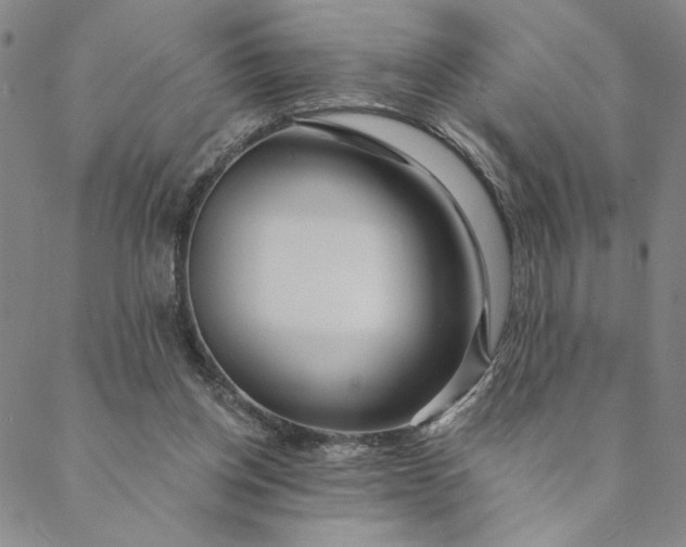 X0000088570158200706081106