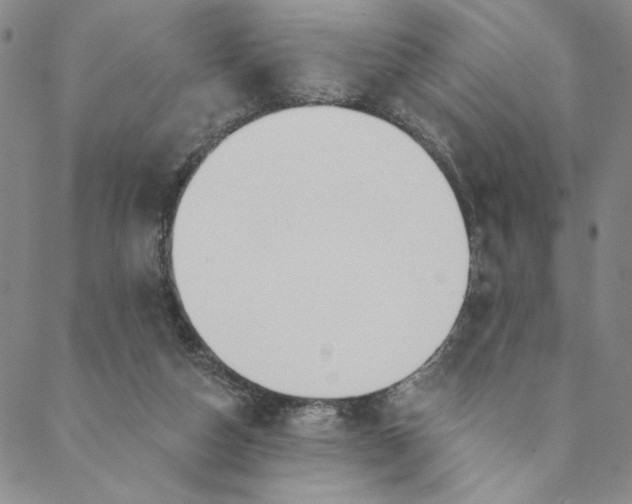 X0000088570162200706081107