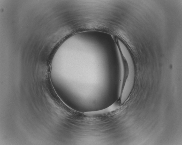 X0000088570164200706081107