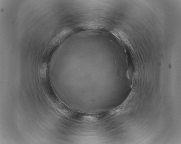 X0000088570167200706081107